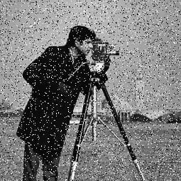 Cameraman image degraded by noise